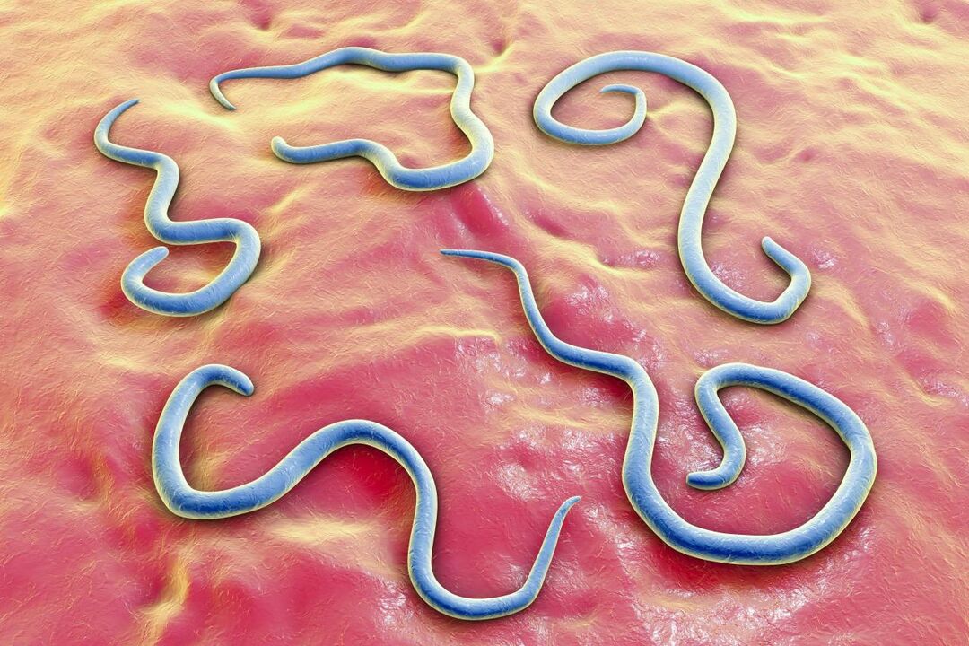 паразитни червеи в човешкото тяло